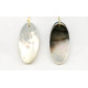 48x Shell Pendant