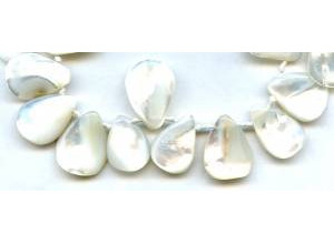 Black Mother of Pearl 16-20x  Petal Drop 38pcs