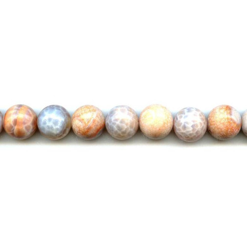 341-0005 Crab Fire Agate <br>14mm Round