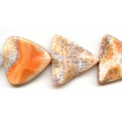 Crab Fire Agate 40mm Waved Triangle