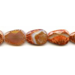 Crab Fire Agate 22x30 Faceted Triangle Slab