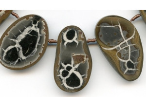 Septarian Nodule 40-47x Fancy Drop