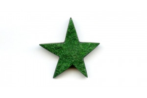 Uvarovite 41x41 Star Pendant