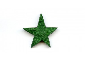 Uvarovite 41x41 Star Pendant