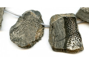 Bryozoan Coral 37-43mm Slab Drop