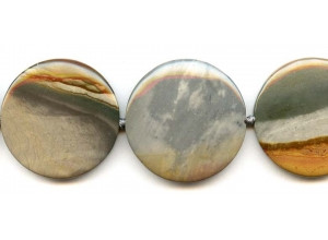 Landscape Jasper 33-37mm Dime