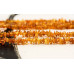 271-0007 Amber <br>6x Chips