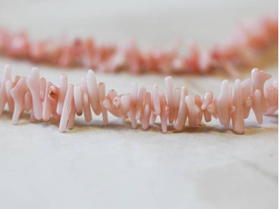 Dyed Coral 2x8 Branch Chips