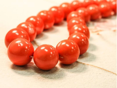 Dyed Coral 16-28mm Round